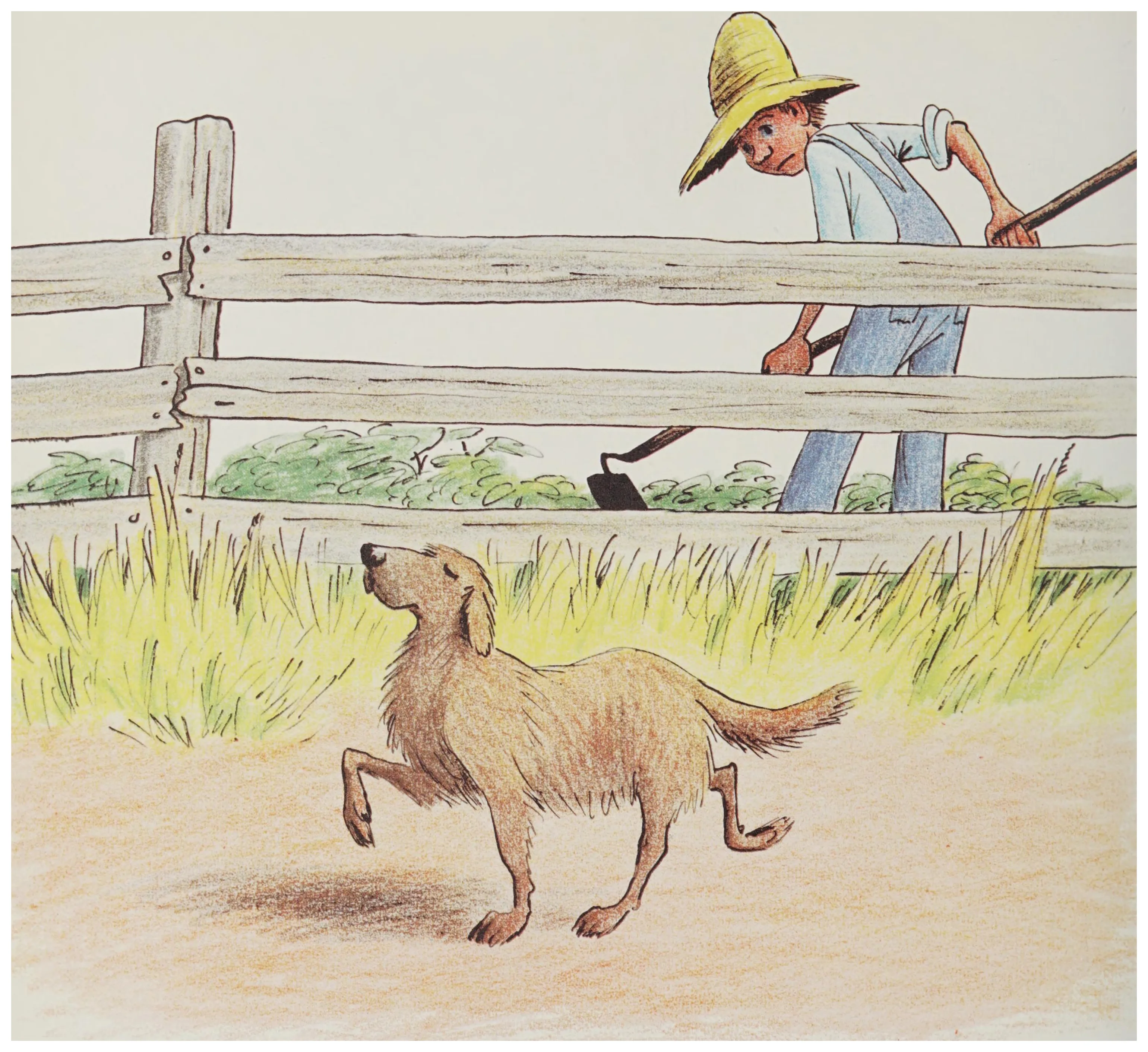 Orvie catches Scamp prancing by the barn fence