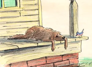 The Whingdingdilly: pencil rough