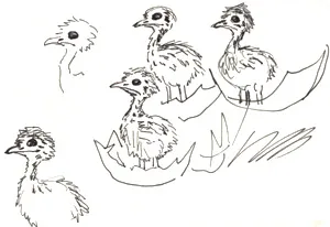 Sketch from the rough draft