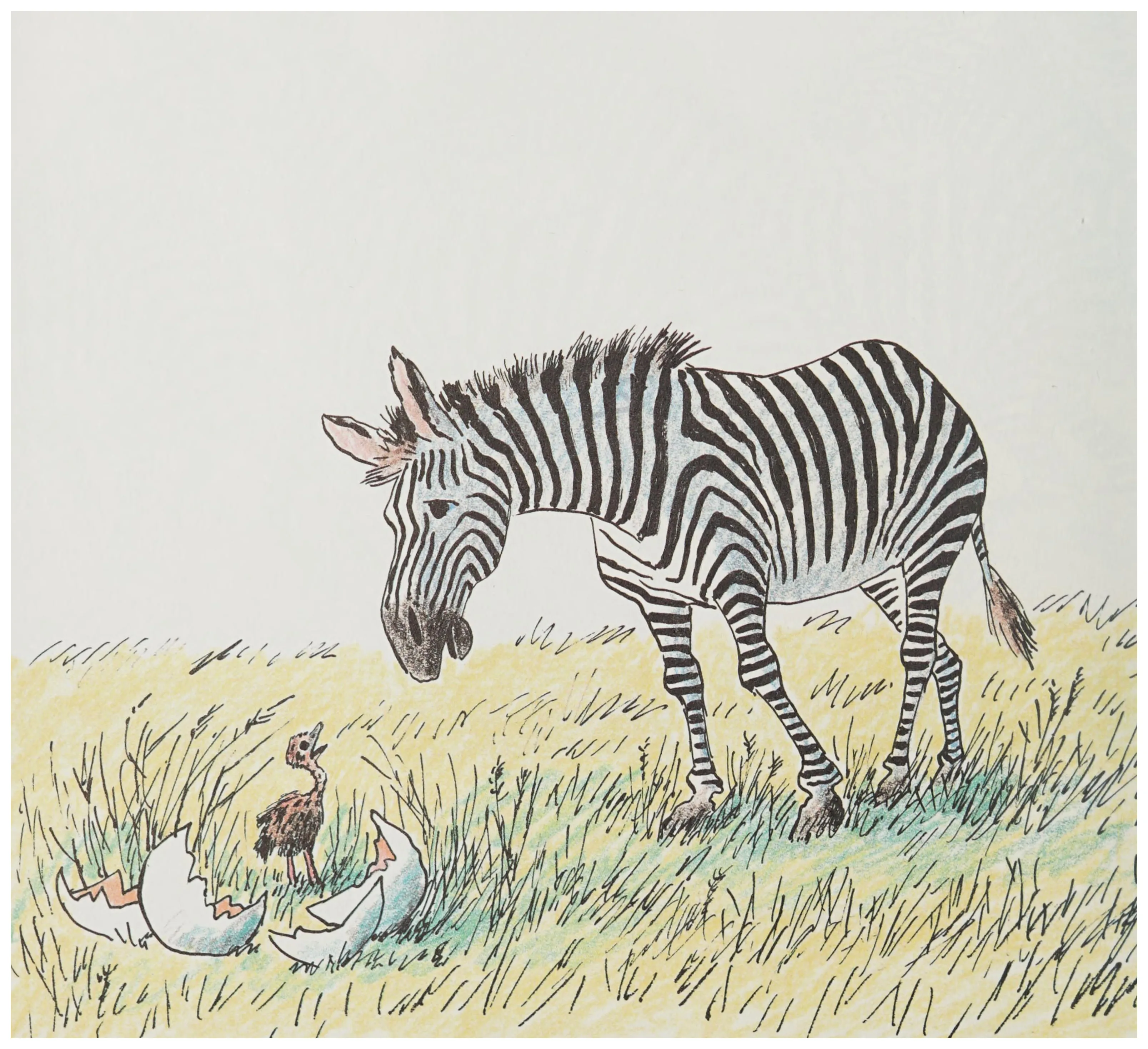 Zella the zebra discovers the orphaned chick