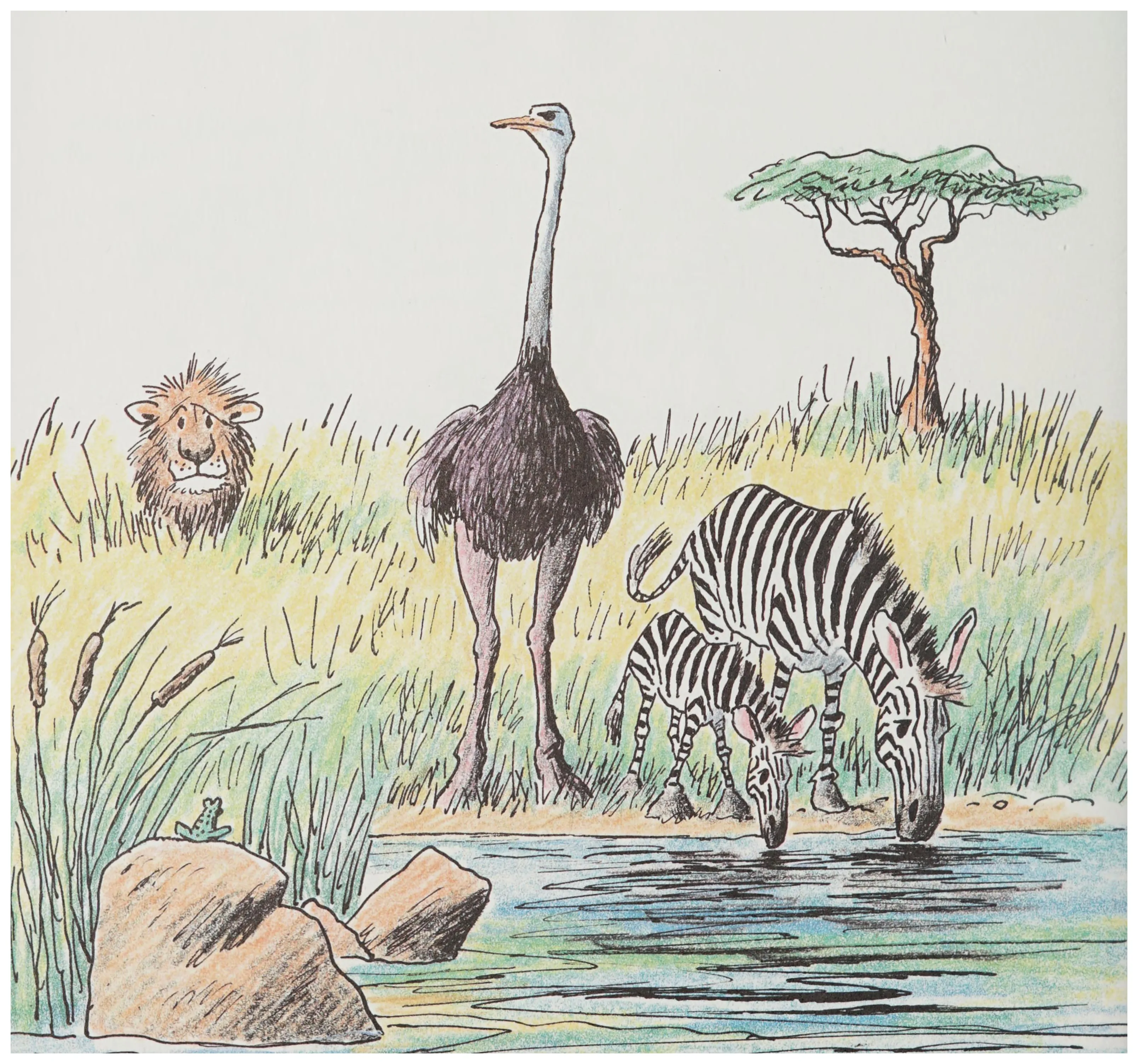 The unlikely family gathers at the waterhole
